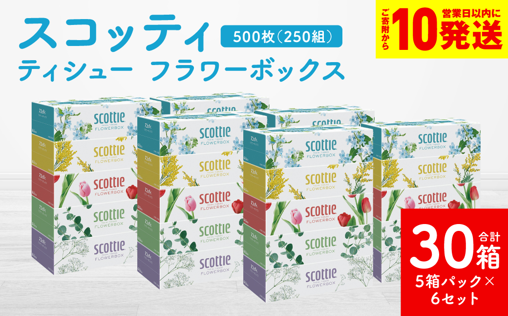 【スコッティ】ティシュー フラワーボックス 250組 5箱パック×6セット 合計30箱 ティッシュ 日用品 生活必需品 消耗品 紙 まとめ買い 備蓄 防災備蓄 デザインボックス