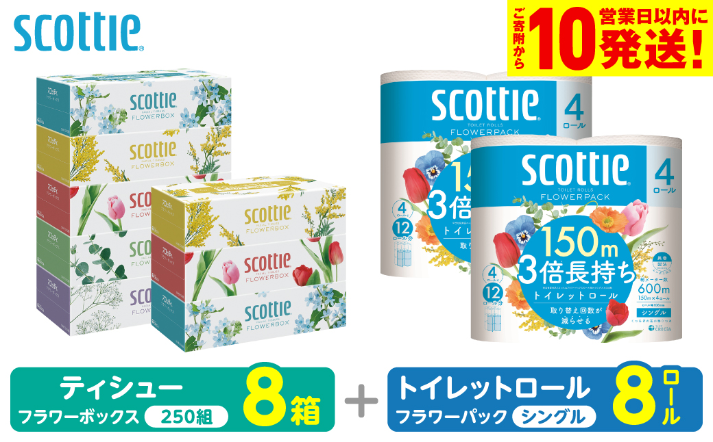 【スコッティ】 組み合わせ ティシュー フラワーボックス 250組 8箱 トイレットロール シングル フラワーパック 3倍長持ち 8ロール ティッシュ トイレットペーパー 日用品 防災備蓄 ストック 備蓄 新生活 防災 消耗品 生活用品 日用消耗品 箱ティッシュ