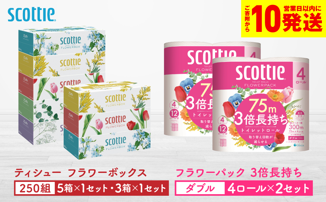 【スコッティ】ティシュー フラワーボックス 250組（5箱パック×1セット・3箱パック×1セット）＋フラワーパック 3倍長持ち（4ロール(ダブル)パック×2セット）ティッシュ トイレットペーパー 日用品
