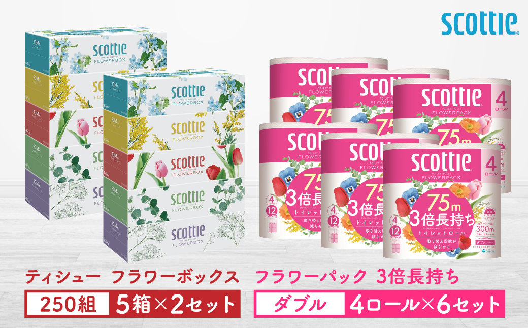 【スコッティ】ティシュー フラワーボックス 250組（5箱パック×2セット）＋フラワーパック 3倍長持ち（4ロール(ダブル)パック×6セット）ティッシュ トイレットペーパー 日用品