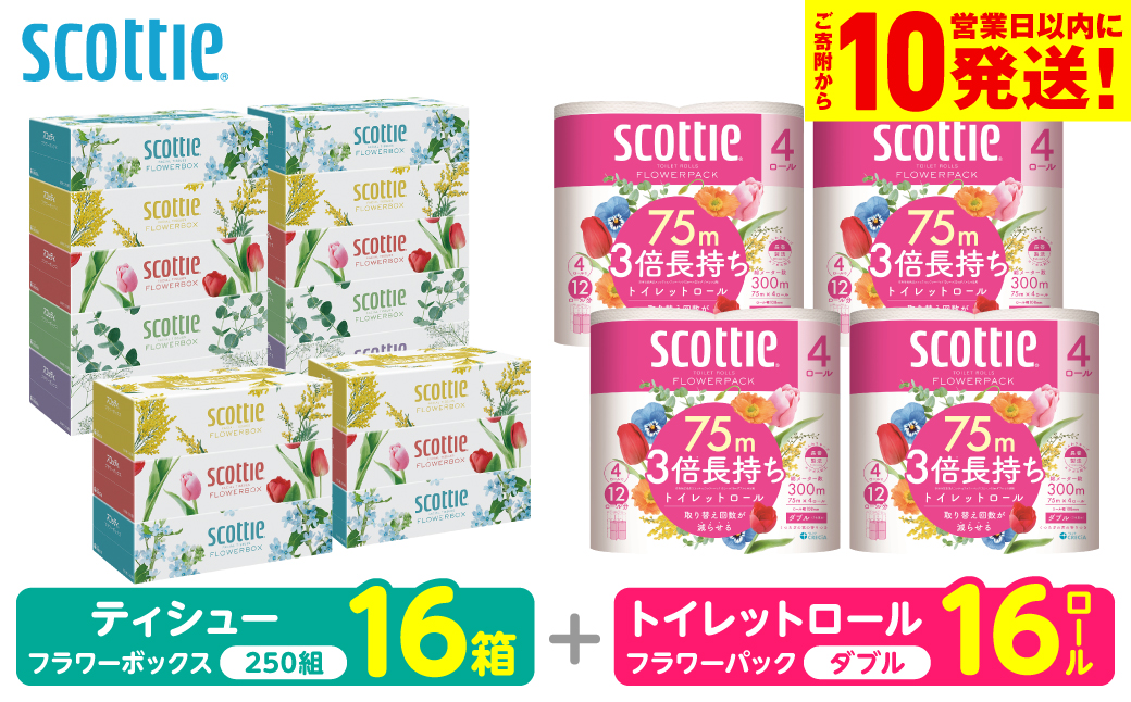 【スコッティ】 組み合わせ ティシュー フラワーボックス 250組 16箱 トイレットロール ダブル フラワーパック 3倍長持ち 16ロール ティッシュ トイレットペーパー 日用品 防災備蓄 ストック 備蓄 新生活 防災 消耗品 生活用品 日用消耗品 箱ティッシュ