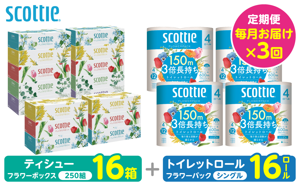 【定期便3回】【毎月お届け】【スコッティ】 組み合わせ ティシュー フラワーボックス 250組 16箱 計48箱 トイレットロール シングル フラワーパック 3倍長持ち 16ロール 計48ロール ティッシュ トイレットペーパー 日用品 防災備蓄 ストック 備蓄 新生活 防災 消耗品 生活用品 日用消耗品 箱ティッシュ