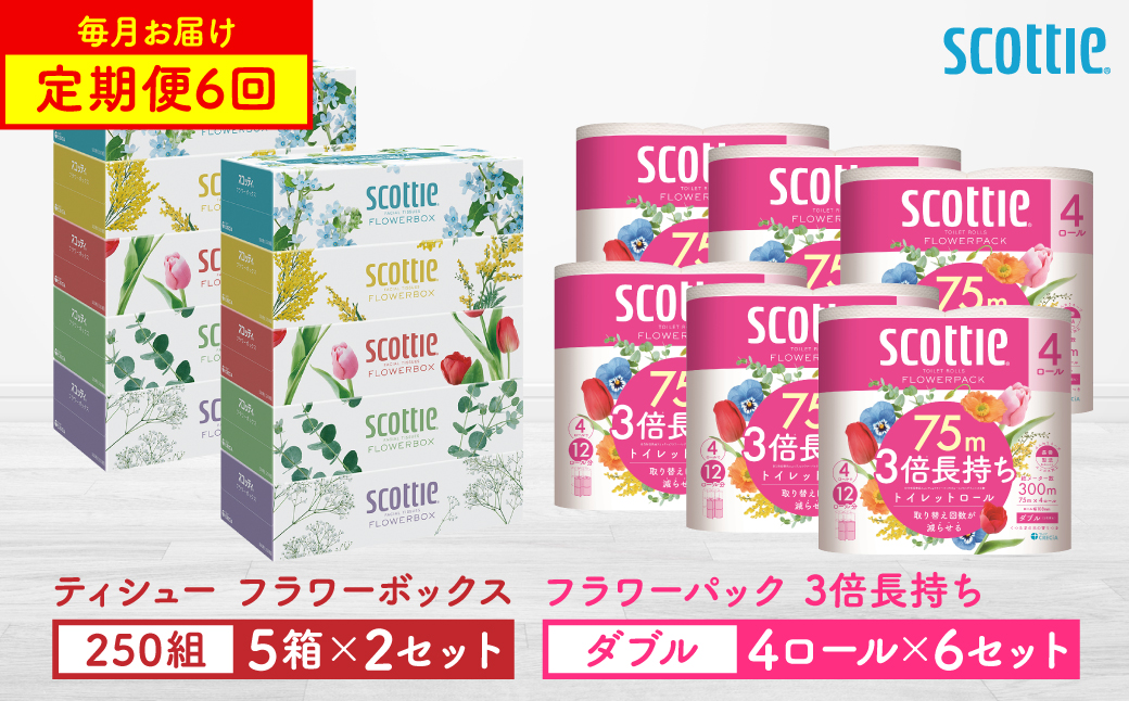 【定期便6回】【毎月お届け】【スコッティ】 ティシュー フラワーボックス 250組（5箱パック×2セット）＋フラワーパック 3倍長持ち（4ロール（ダブル）パック ×6セット） ティッシュ トイレットペーパー 日用品 ストック