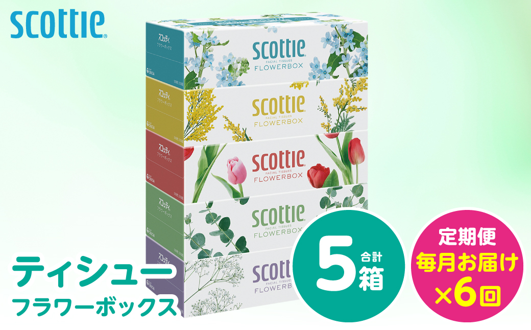 【定期便6回】【毎月お届け】【スコッティ】 ティシュー フラワーボックス 250組 5箱 計30箱 ティッシュ 日用品 生活必需品 消耗品 紙 備蓄 防災備蓄 ストック デザインボックス 新生活 防災 生活用品 日用消耗品 箱ティッシュ 熊本県 八代市