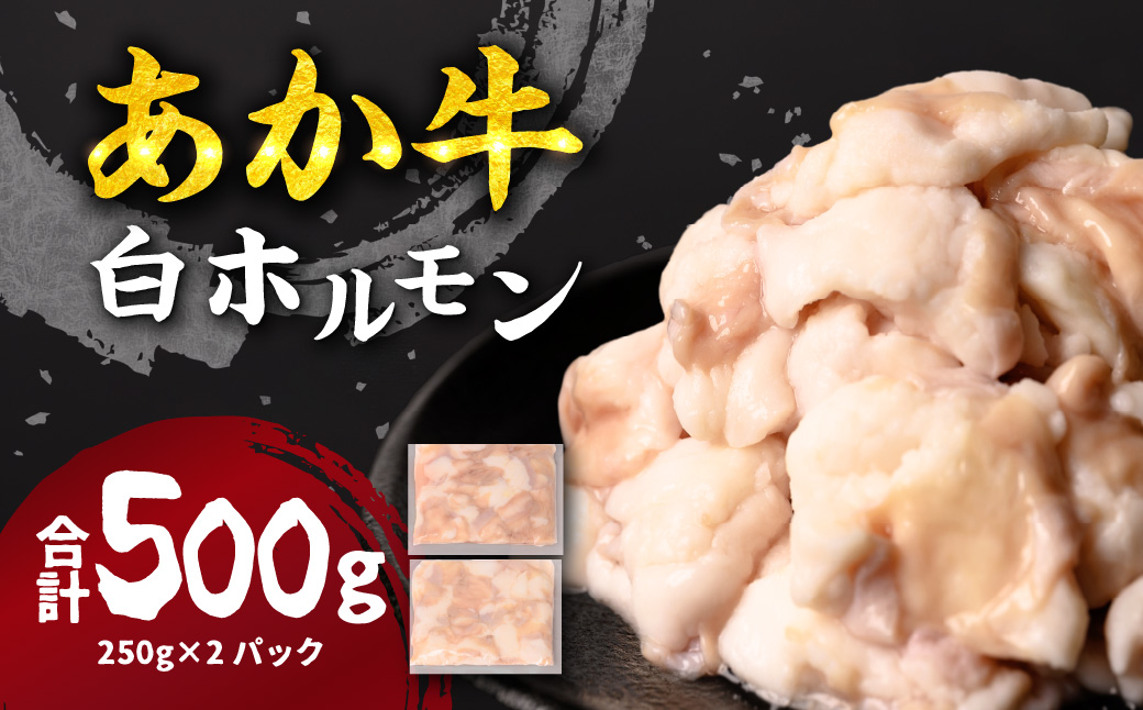 【選べる定期便・単品】 あか牛 白ホルモン 500g ×1回 250g×2パック 単品(1回)