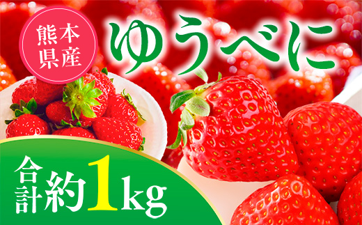 【先行予約】ゆうべにいちご　約1kg 果物 くだもの 旬 ジャム 季節の果物 【2026年2月上旬より順次発送】