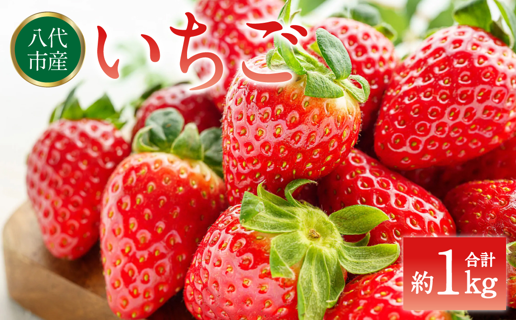 【先行予約】 いちご 約1kg（約250g×4パック） イチゴ 苺 果物 フルーツ 旬 いちごジャム いちごスムージー 【2026年2月上旬より順次発送】