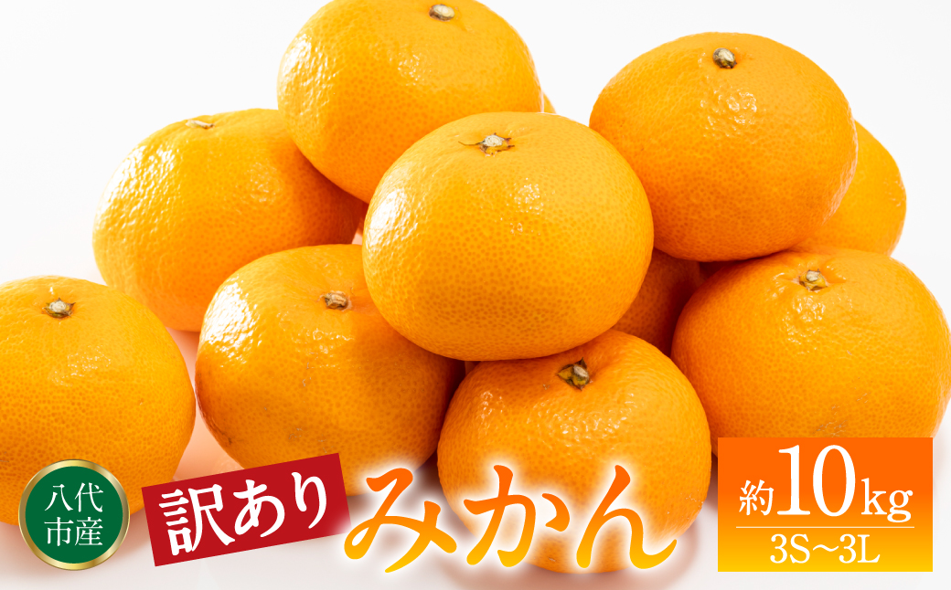 【訳あり】みかん 家庭用 (3S～3Lサイズ) 約10kg 八代市産 熊本 ご家庭用 蜜柑 ミカン 柑橘 くだもの 果物 フルーツ デザート