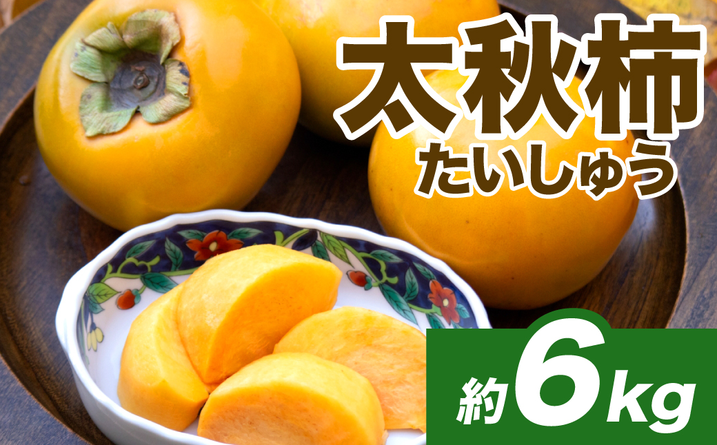 【先行予約】 太秋柿 約6kg （16～30玉） フルーツ くだもの 果物 柿 かき カキ おやつ デザート 秋の味覚 秋 旬 熊本県 八代市 【2026年10月上旬より順次発送】