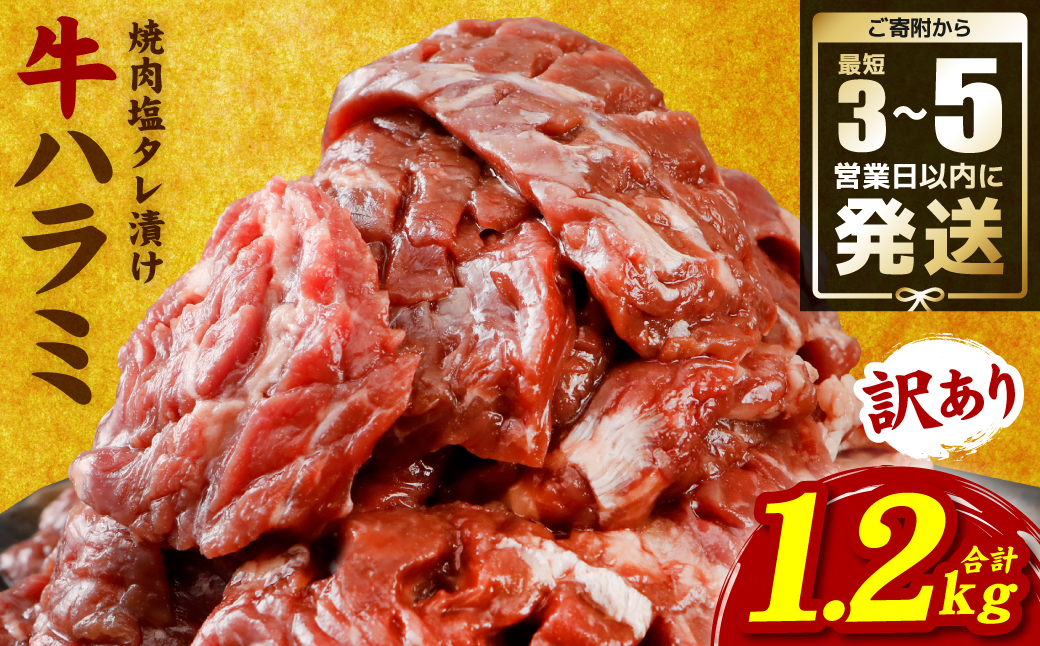 【訳あり】牛ハラミ 焼肉 (軟化加工) 1.2kg ＼スピード発送／ ＜最短3-5営業日以内に発送＞牛 牛肉 焼き肉 塩味 柔らか 厳選 小分け