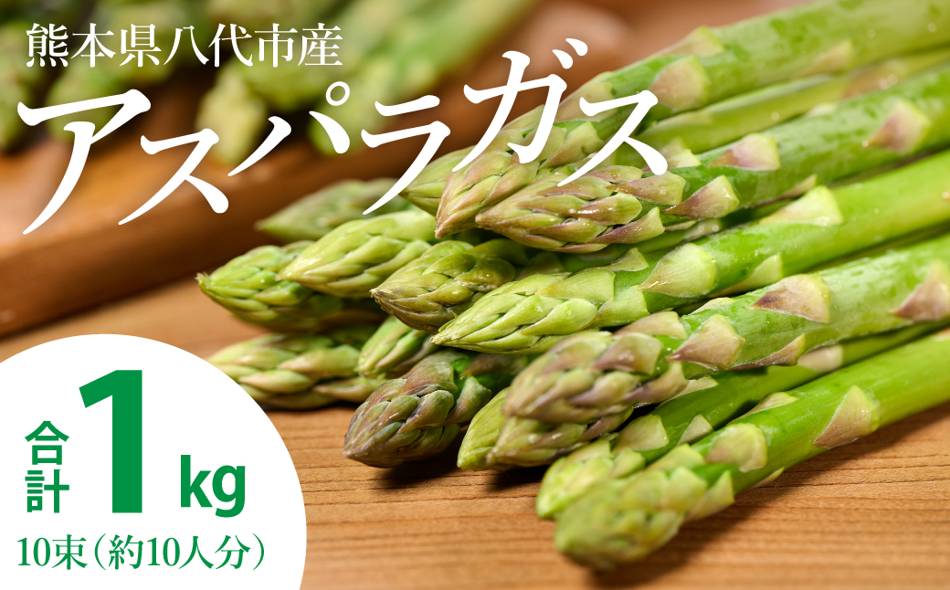 【先行予約】 熊本県 八代市産 アスパラガス 1kg 新鮮 アスパラ 野菜 やさい 旬 【2026年4月上旬より順次発送】