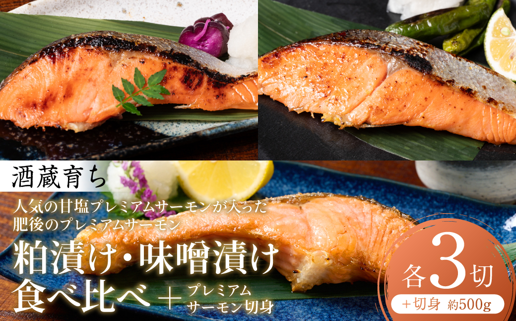 人気の甘塩プレミアムサーモン切身 約500g が入った 酒蔵育ち 肥後のプレミアムサーモン 食べ比べセット 粕漬け・味噌漬け 各3切入 サーモントラウト 銀鮭 酒粕漬け 酒粕 味噌漬け 赤酒 切身 切り身 和食 魚 おかず 熊本県 八代市