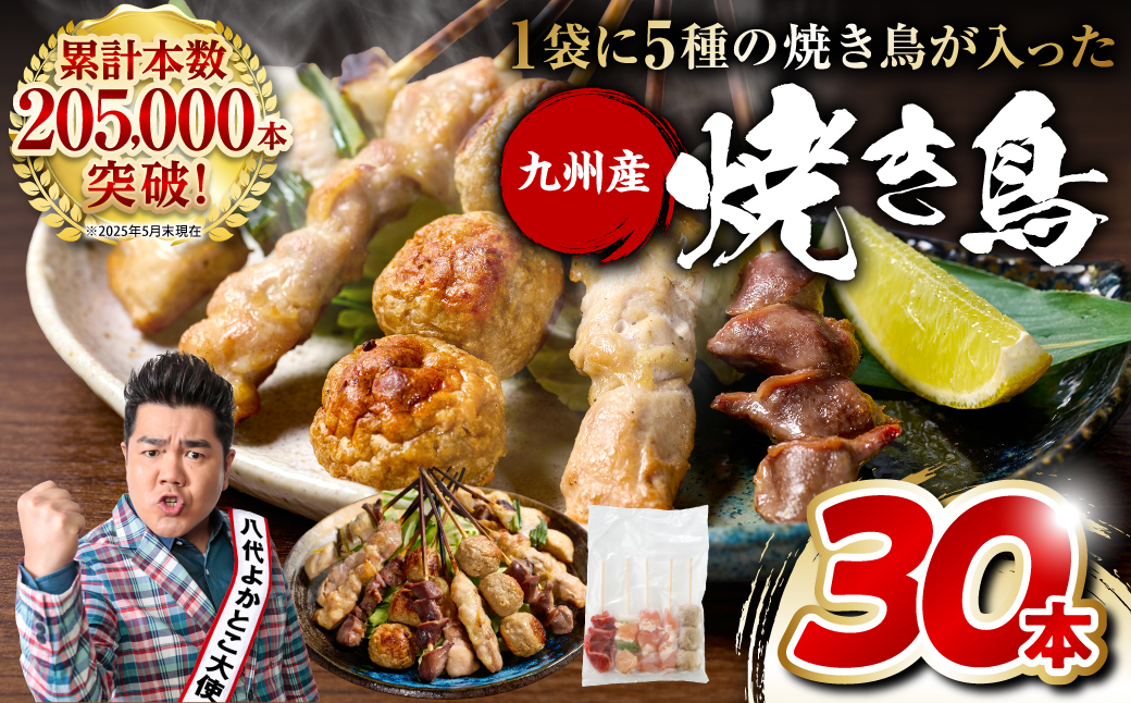 やきとり5種 30本セット お試しサイズ！ 国産 鶏肉 串 九州産 冷凍 小分け ねぎま とろ もも 砂肝 つくね