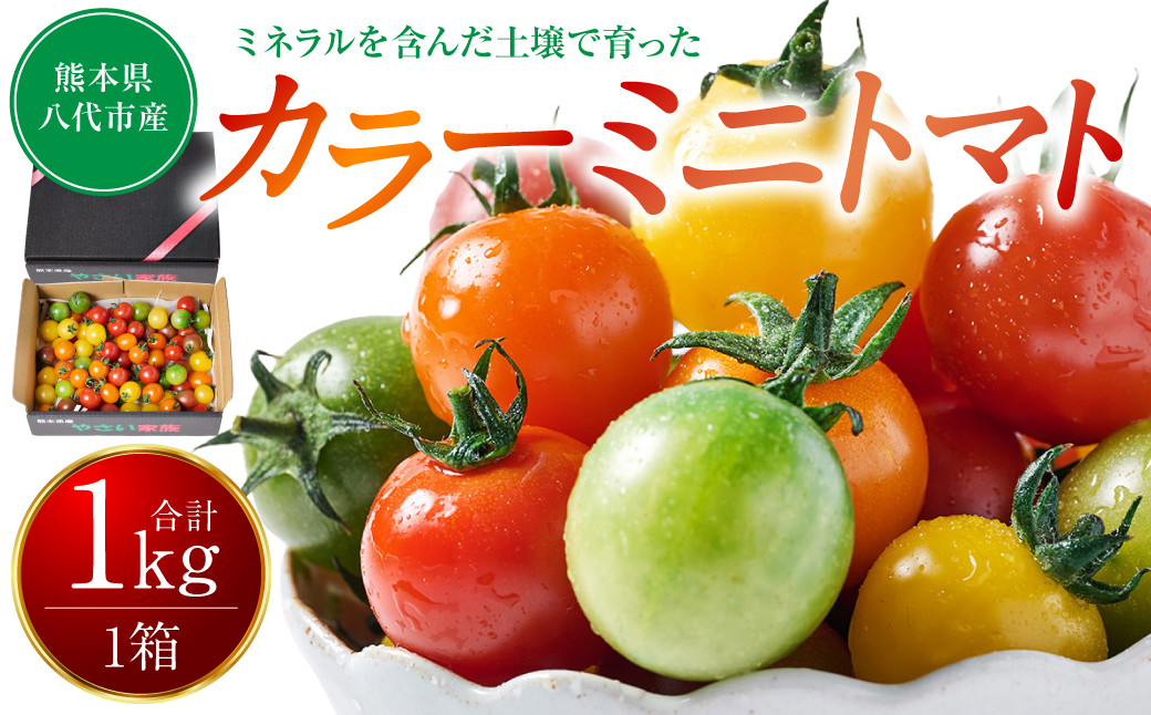 カラーミニトマト1kg トマト とまと ミニトマト プチトマト 野菜 やさい 旬の野菜 新鮮な野菜 地元産野菜 旬のやさい 新鮮なやさい ご当地 国産 特産品 お取り寄せ ギフト プレゼント 家庭用 食卓