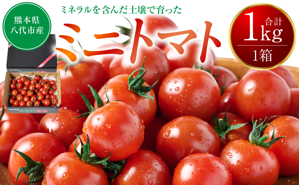 ミニトマト1kg トマト とまと ミニトマト プチトマト 野菜 やさい 旬の野菜 新鮮な野菜 地元産野菜 旬のやさい 新鮮なやさい ご当地 国産 特産品 お取り寄せ ギフト プレゼント 家庭用 食卓