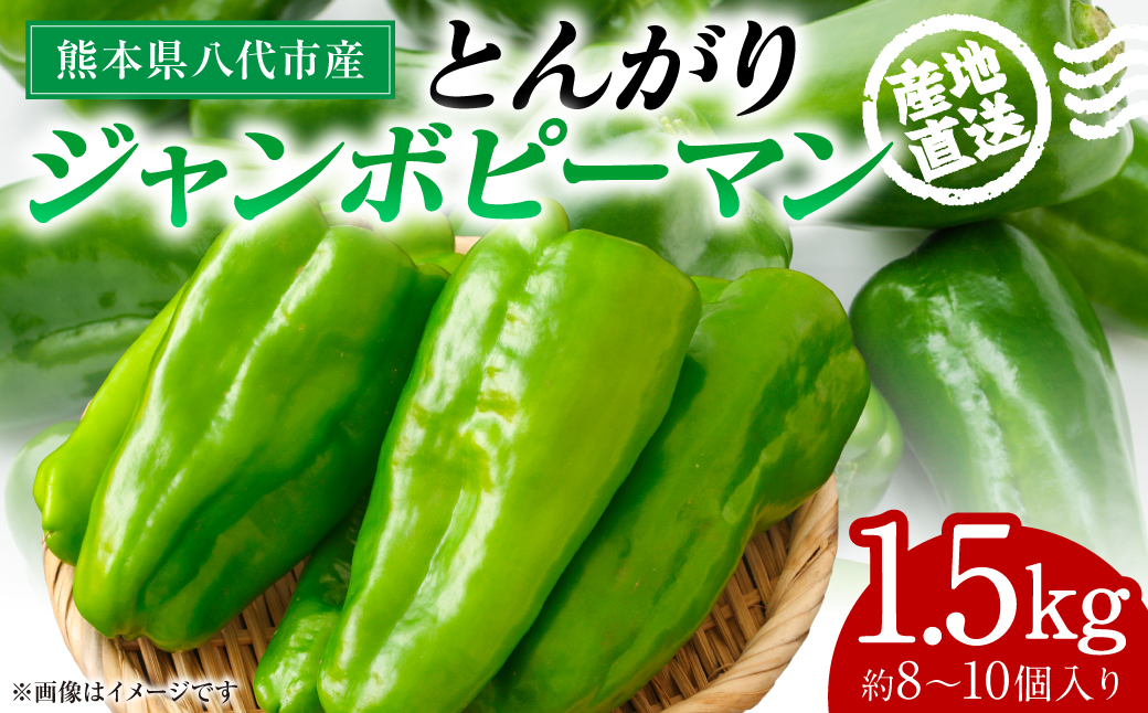 【先行予約】産地直送 とんがりジャンボピーマン 1.5kg 野菜 やさい 野菜炒め サラダ 夏野菜 新鮮 旬 無限ピーマン おつまみ BBQ バーベキュー 肉詰め 熊本県 八代市【2026年4月上旬より順次発送】