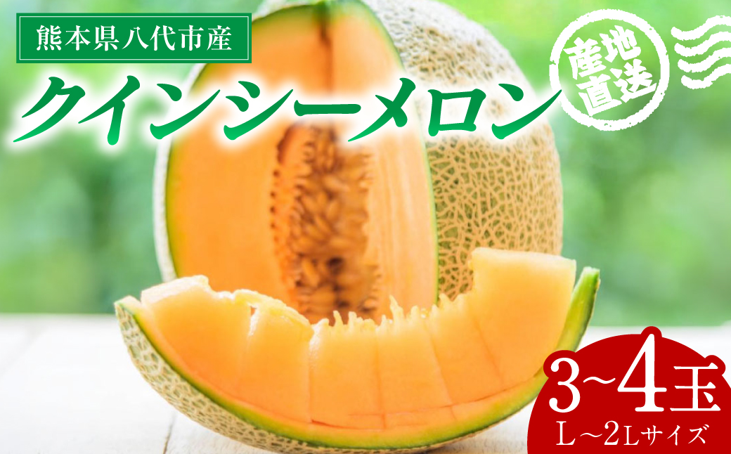 【先行予約】産地直送 クインシーメロン L～2Lサイズ 3～4玉 約5kg クインシー メロン めろん 赤肉メロン 赤肉 果物 くだもの フルーツ デザート 贈り物 国産 熊本県 八代市【2026年5月中旬より順次発送】