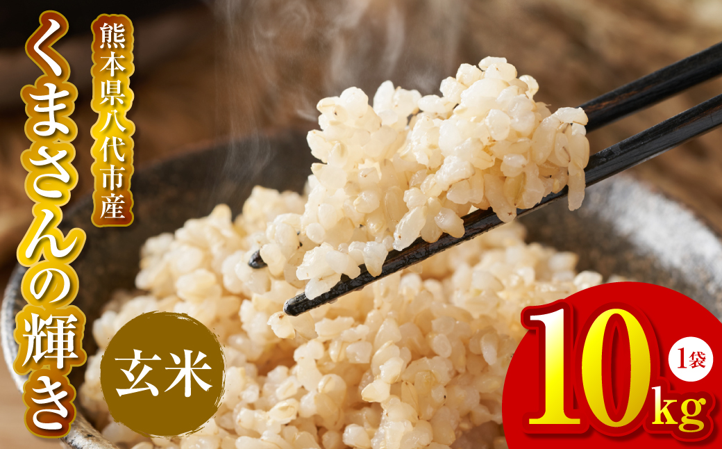 《令和7年産》 くまさんの輝き 玄米 10kg 熊本県 八代市産 米 お米 国産