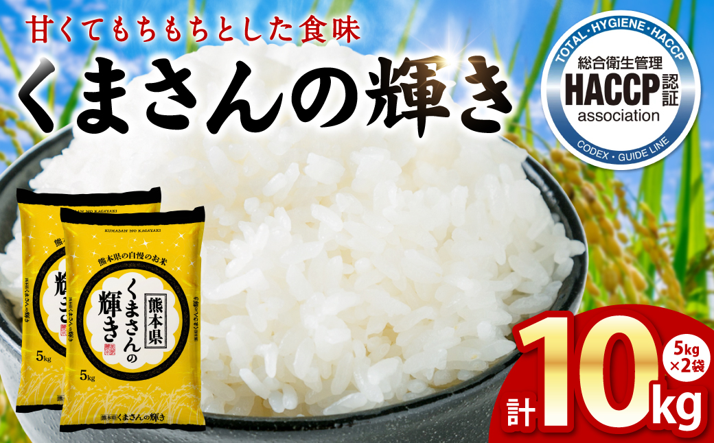 《令和7年産》くまさんの輝き 5kg×2袋 合計10kg  熊本県 八代市産 米 お米 精米 白米 国産