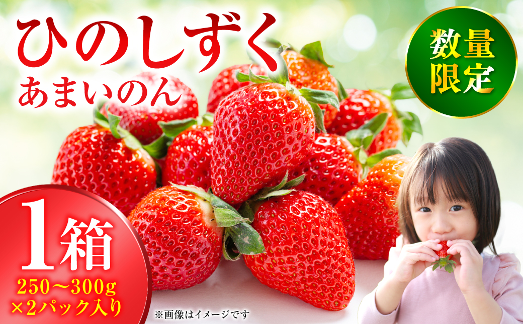 【先行予約】ひのしずく -あまいのん 新鮮 フルーツ 果物 くだもの 苺 いちご イチゴ ストロベリー 旬 熊本 八代 国産 【2026年1月下旬より順次発送】