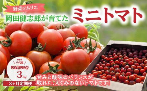 [定期便3回] 野菜ソムリエ岡田健志郎が育てた ミニトマト3kg