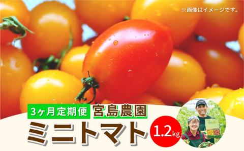 [定期便3回]ミニトマト (ミックス) 1.2kg×3回 八代市産 宮島農園