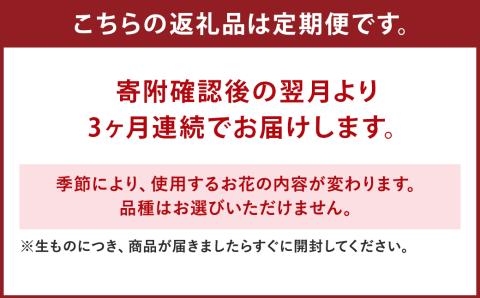 ファーマーズフラワー by the Bouquet KUMAMOTO【定期便年3回】 花 フラワーアレンジメント