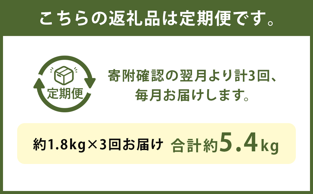【3ヶ月定期便】くまもと黒毛和牛サーロインステーキブロック 約1.8kg 計約5.4kg ステーキ 肉