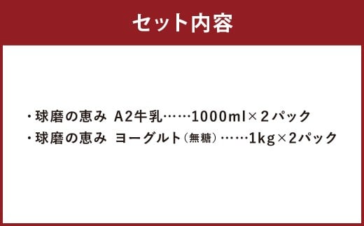 球磨の恵み 「A2牛乳とヨーグルト（無糖）」のセット 牛乳1000ml×2パック ヨーグルト1kg×2パック ／ 生乳 牛乳 ミルク ヨーグルト 乳製品 飲料 飲み物 飲みもの のみもの ドリンク おやつ デザート 国産