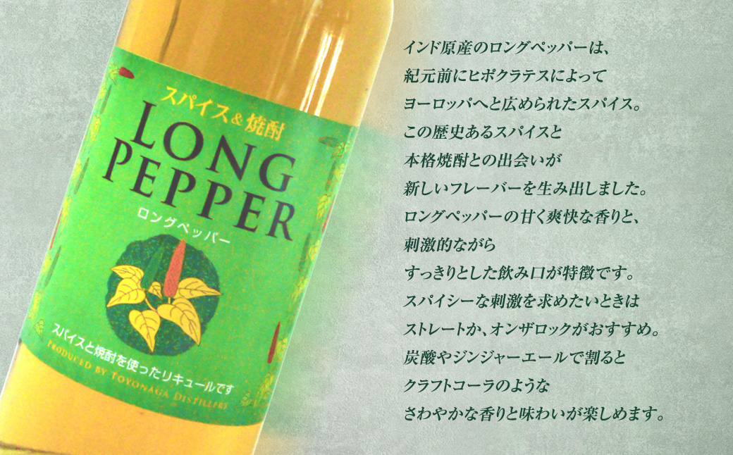 スパイス＆焼酎 ロングペッパー 700ml×2本 計1400ml お酒 酒 アルコール 焼酎 スパイス リキュール