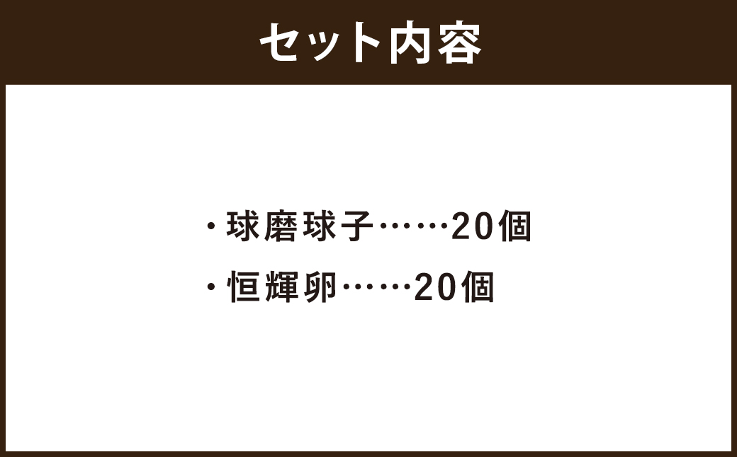 「球磨球子」「恒輝卵」各20個　計40個の食べ比べ 2種 くまたまご こうきらん 卵 たまご 玉子 お取り寄せ（破損保証有り）