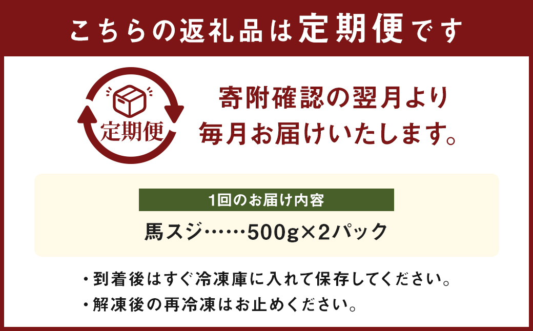 【 3ヶ月 定期便 】 馬スジ 1kg （ 500g × 2パック） 合計 3kg 冷凍 肉 お肉 馬肉 馬 スジ肉 スジ 煮込み 煮物 熊本