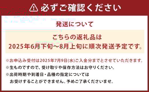 桃 約2kg 5～8玉 人吉球磨産
