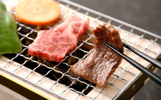 くまもと あか牛 カルビ 焼肉 450g 牛肉 牛 肉 赤牛 あかうし 和牛 カルビ肉