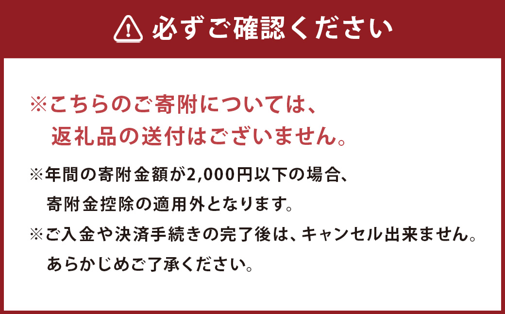 【ふるさと納税】熊本県人吉市への寄附（返礼品はありません）1口6,000円