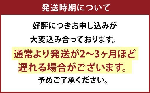 アジ切包丁 手打ち包丁 鍛造刃物 伝統工芸品 ナイフ キッチン