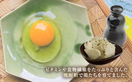 【定期便 年12回】球磨球子 40個入×12回 鶏卵 卵 玉子 たまご くまたまご（破損保証有り）