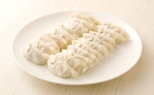 人吉 手作り ぎょうざ 冷凍 計100個
