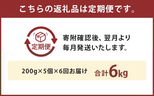 【6ヶ月定期便】黒樺牛ビーフカレー 200g×5パック