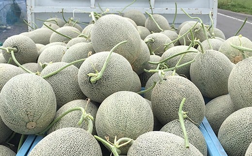 【2024年5月下旬より発送開始】タカミメロン (極)  5kg 程度 (3～5玉)