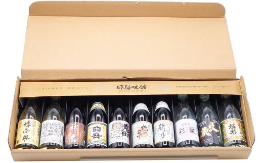 球磨焼酎 10本 詰め合わせ ミニチュア セット 合計約1L 米焼酎 焼酎 25度 飲み比べ