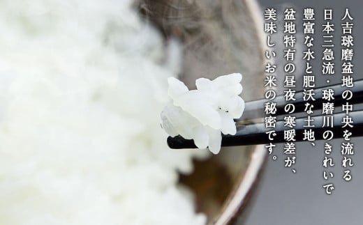 【令和7年産】人吉球磨産 森のくまさん 10kg（精米） 【2026年9月下旬迄発送予定】