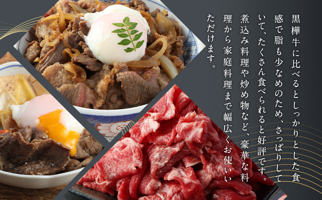 樺姫牛 切り落とし 3kg 500g×6パック 牛肉 和牛 きりおとし 牛 お肉 黒毛和牛 国産 九州産 熊本県産 冷凍