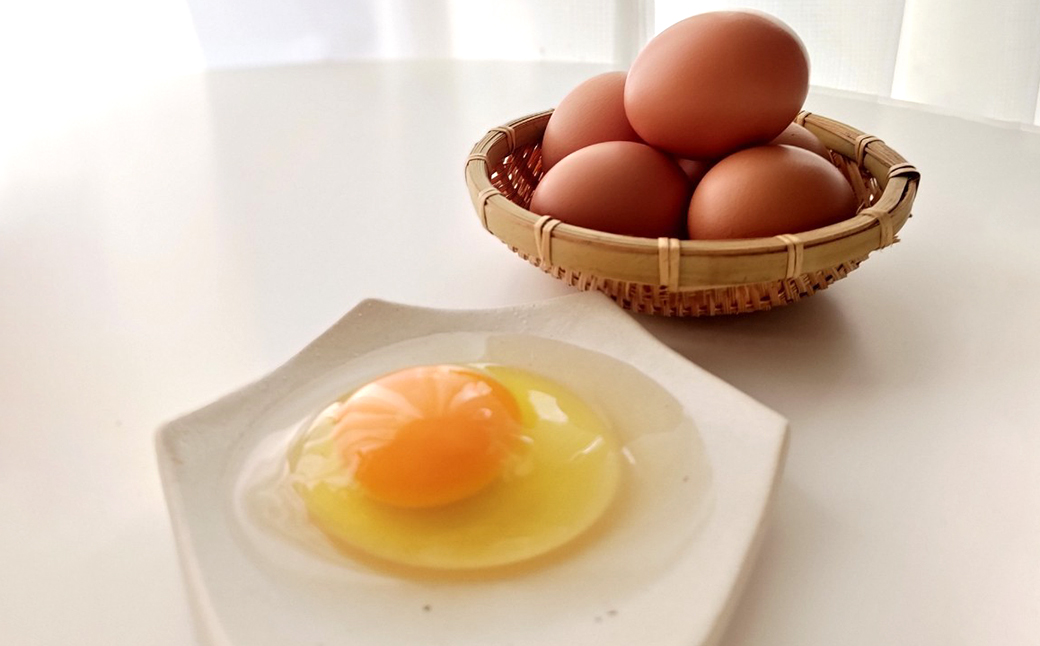 「球磨球子」「恒輝卵」各20個　計40個の食べ比べ 2種 くまたまご こうきらん 卵 たまご 玉子 お取り寄せ（破損保証有り）