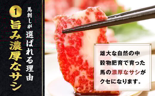 【3ヶ月定期便】熊本馬刺し 霜降りたっぷり500g 50g×10パック 専用醤油付き 霜降り 中トロ お取り寄せ