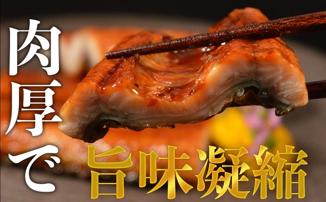 特上うなぎ 600g(200g×3尾) タレ付き うなぎ 鰻