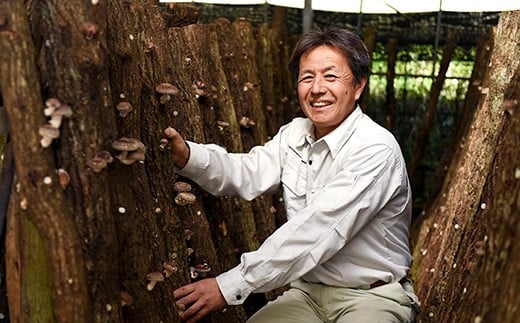 特選原木栽培生しいたけ 「にく丸くん 中サイズ」 1.2kg