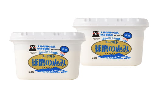 【3ヶ月定期便】球磨の恵みヨーグルト 加糖 1kg×2パック×3回 合計6kg