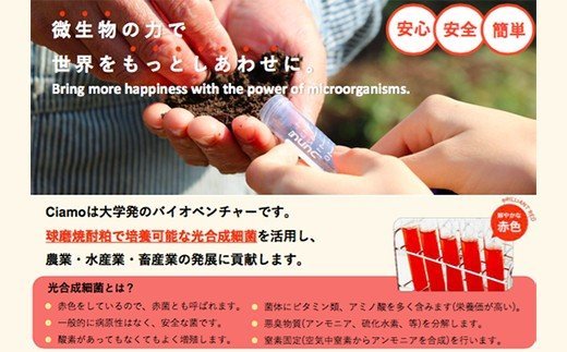 光合成細菌「くまレッド」（2L培養キット×6セット） 球磨焼酎粕使用