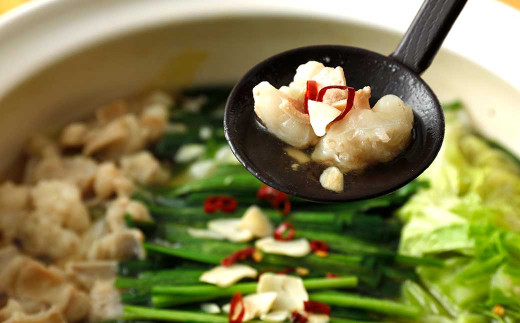 国産牛 もつ鍋 セット 塩醤油味 約800g